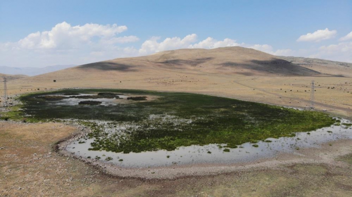 20 farklı göçmen kuş türüne ev sahipliği yapan Nenehatun gölü kurudu