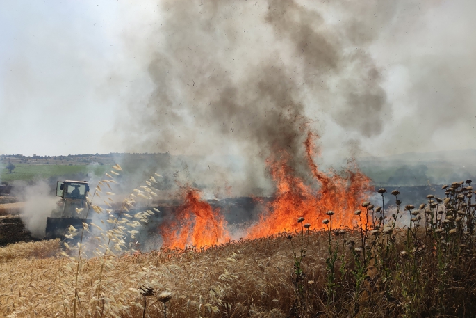 300 dönüm buğday tarlası alev alev yandı
