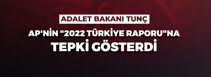 ADALET BAKANI TUNÇ, AP'NİN 