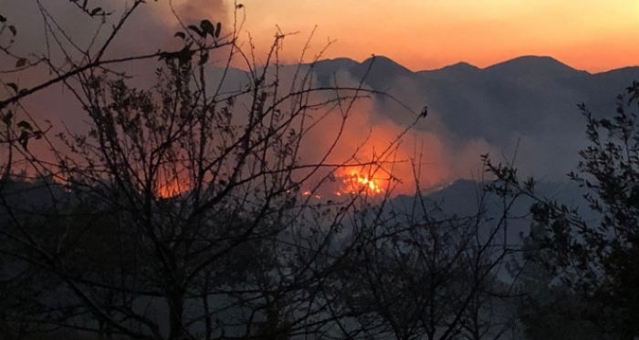 Adana’da orman yangını!