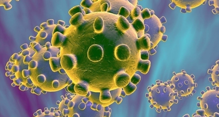Bakan Koca açıkladı! Türkiye’de ikinci koronavirüs vakası