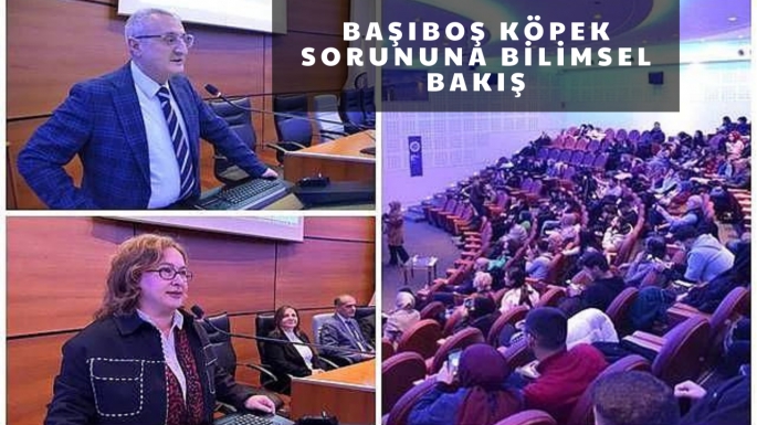 Başıboş köpek sorununa bilimsel bakış