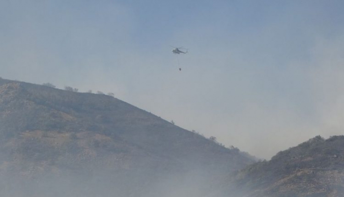Bingöl’deki yangına havadan ve karadan müdahale sürüyor
