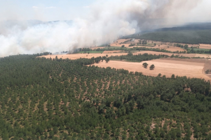 Çanakkale'de ziraat yangını ormana sıçradı