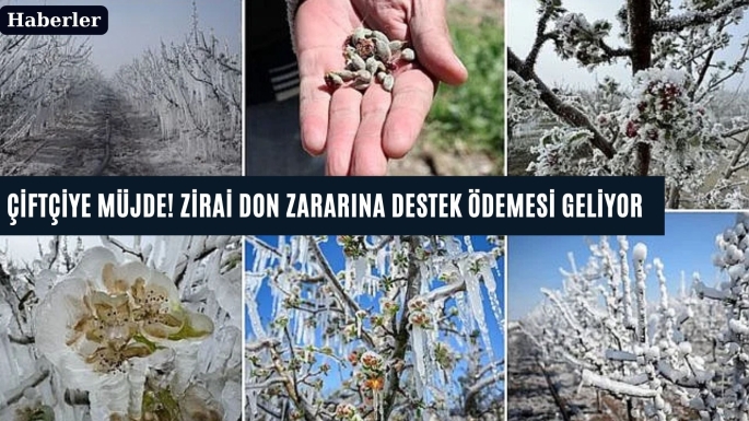 Çiftçiye müjde! Zirai don zararına destek ödemesi geliyor