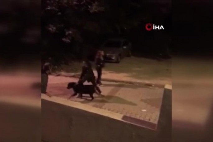 Çocuğu köpek ısırınca ortalık savaş alanına döndü