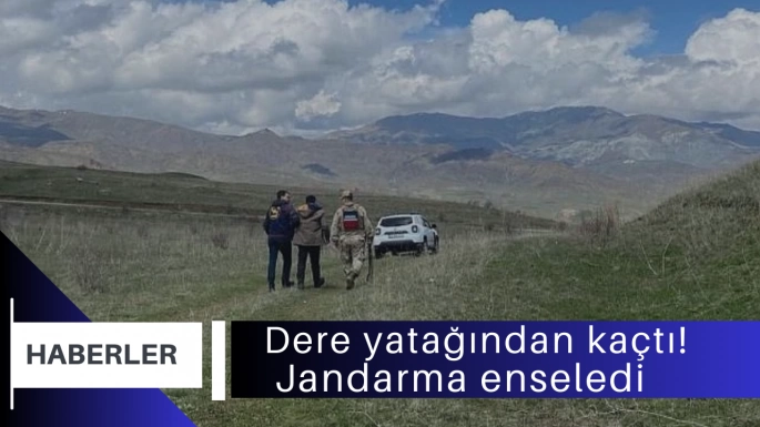 Dere yatağından kaçtı! Jandarma enseledi