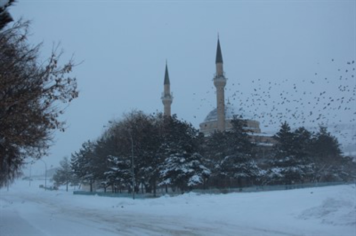 Doğu Anadolu donmaya devam ediyor