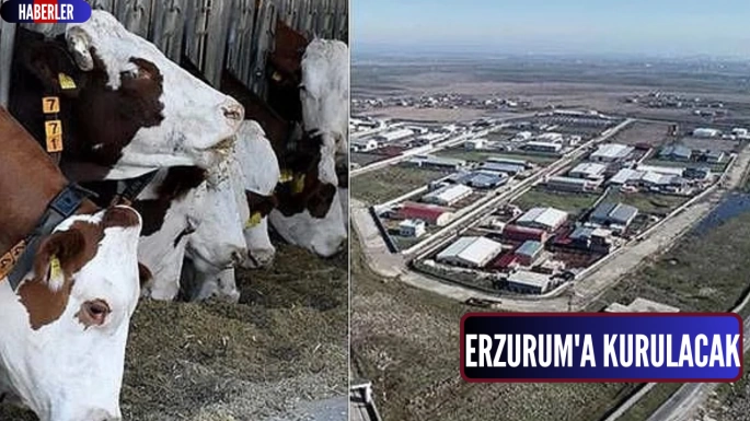 Erzurum'a kurulacak