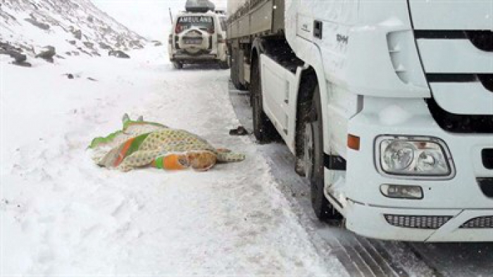Erzurum-Bingöl Karayolunda kar ve tipi dolayısıyla kapanan yolda sürücü kalp krizi geçirerek öldü