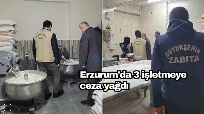 Erzurum'da 3 işletmeye ceza yağdı