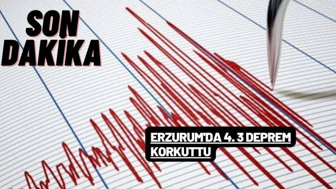 Erzurum'da 4.3 deprem korkuttu