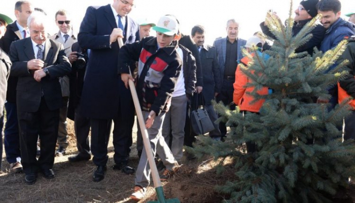 Erzurum’da 600 fidan toprakla buluştu