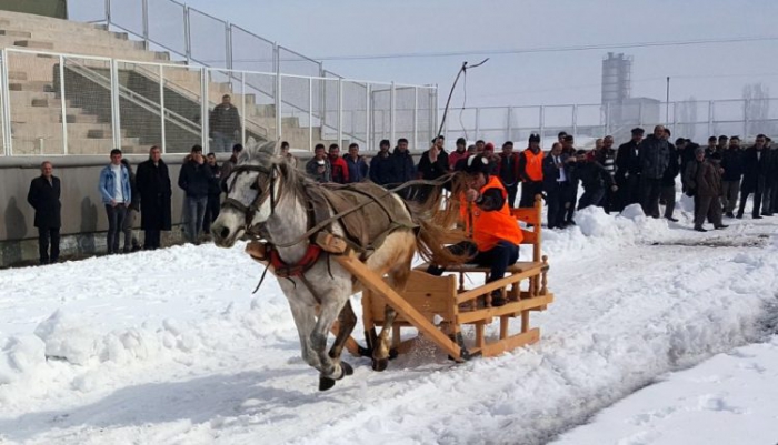 Erzurum’da “Atlı Kızak Türkiye Şampiyonası” nefes kesti