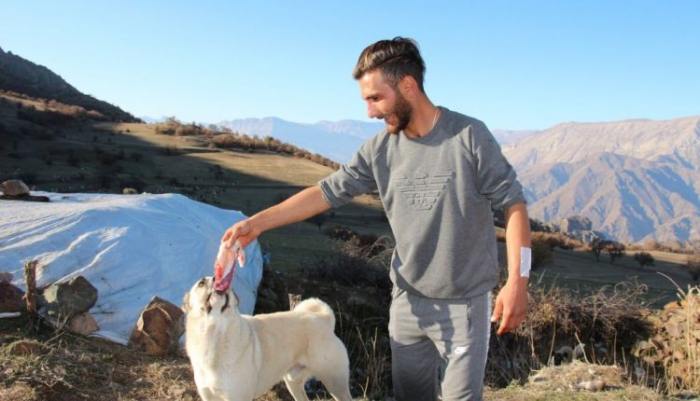 Erzurum’da ayı saldırısından kurtaran köpeklerine yemek ziyafeti çekti