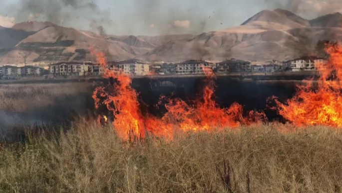 Erzurum'da çocukların oyunu buğday tarlasını yaktı, 20 dönüm küle döndü