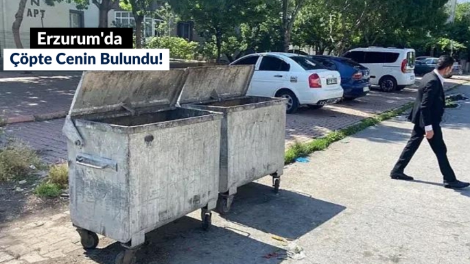 Erzurum'da çöpte cenin bulundu!
