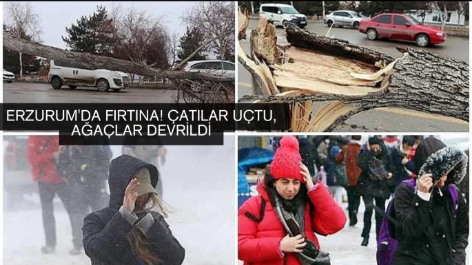 Erzurum'da fırtına! Çatılar uçtu, ağaçlar devrildi
