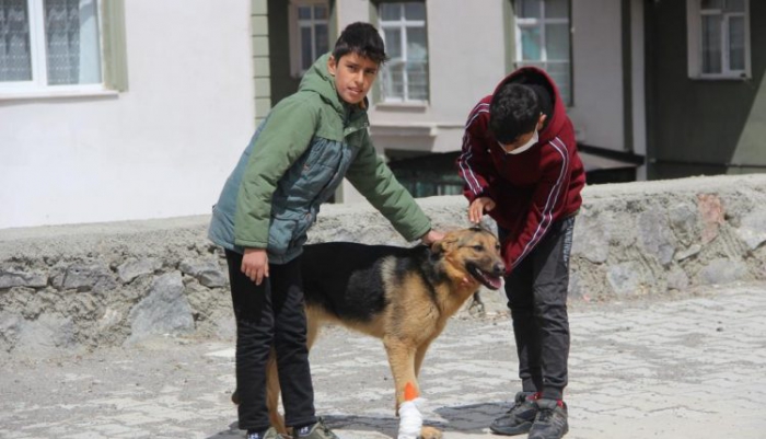 Erzurum’da İşkence edilen köpeğe çocuklar sahip çıktı