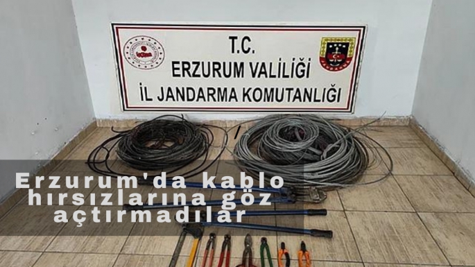Erzurum'da kablo hırsızlarına göz açtırmadılar