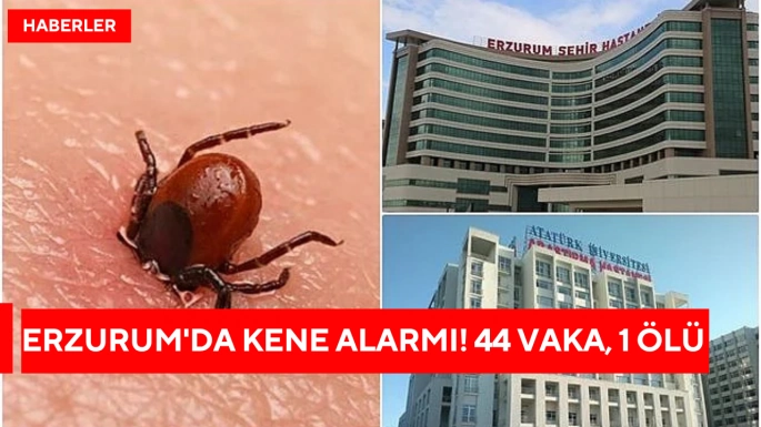 Erzurum'da kene alarmı! 44 vaka, 1 ölü