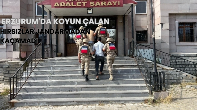 Erzurum'da Koyun Çalan Hırsızlar Jandarmadan Kaçamadı