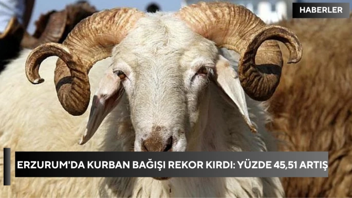 Erzurum'da kurban bağışı rekor kırdı: Yüzde 45,51 artış