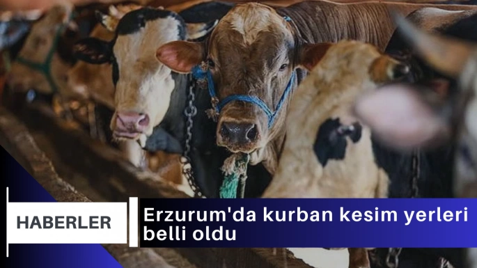 Erzurum'da kurban kesim yerleri belli oldu   