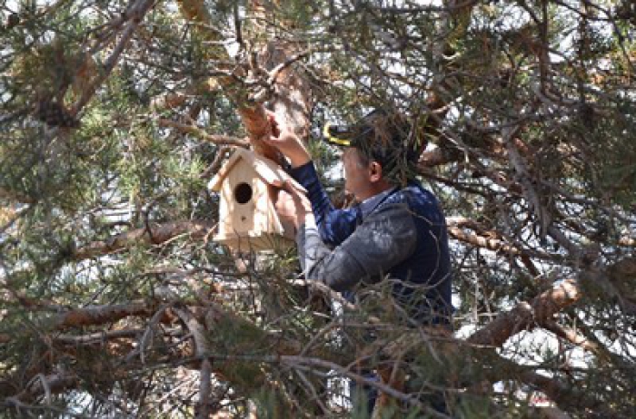 Erzurum'da Kuşları böceklerden korumak için…