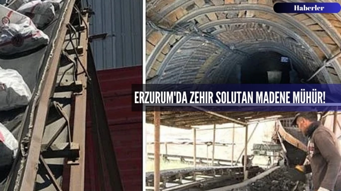 Erzurum'da zehir solutan madene mühür!  