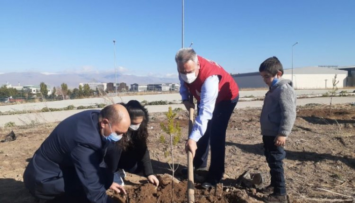 Erzurum GSİM bin fidan dikti