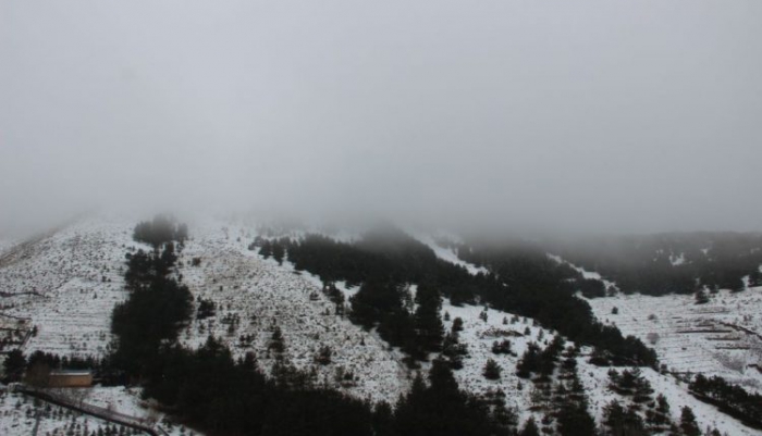 Erzurum güne sis ile uyandı