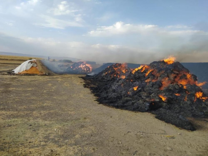 Erzurum Horasan’da ot yangını