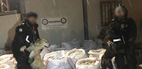 Erzurum merkezli uyuşturucu operasyonu: Çok sayıda gözaltı var