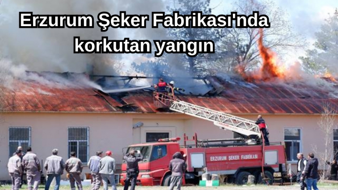 Erzurum Şeker Fabrikası'nda korkutan yangın