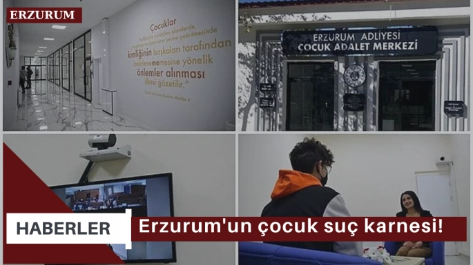 Erzurum'un çocuk suç karnesi!