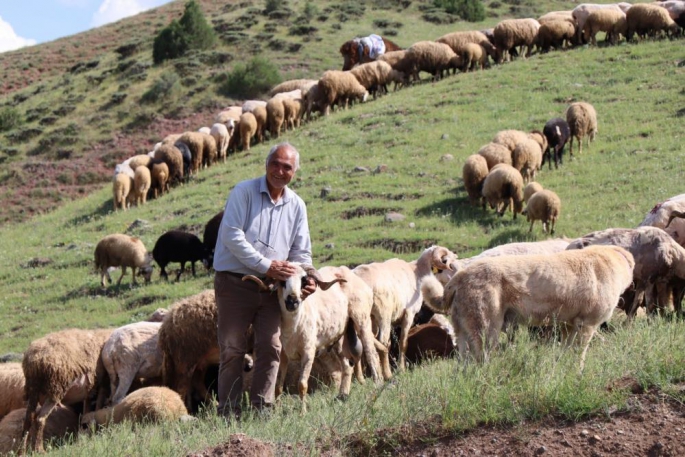 Erzurum Uzundereli girişimci, çorak topraklara can verdi