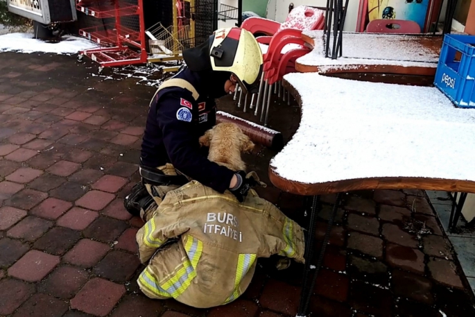 Göle düşen köpeği montuyla sararak ısıttı