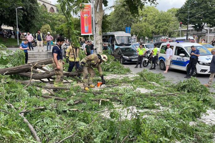 Gövdesinden kırılan ağaç yola devrildi: 2'si turist 3 kişi yaralandı