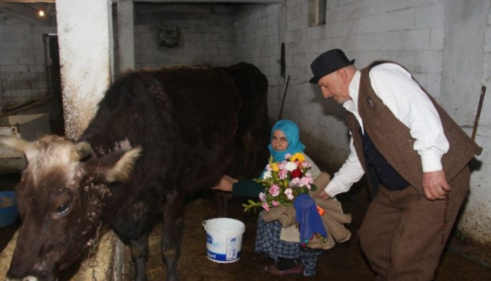 İnek Sağan Eşine Sürpriz Yaptı…