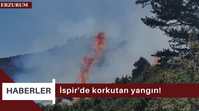 İspir'de korkutan yangın!