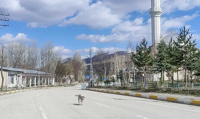 İYİ PARTİ MİLLETVEKİLİ ADAYI ZEKAİ KAYA SORMAYA, SORGULAMAYA DEVAM EDİYOR: KANDİLLİ'Yİ EN SON NE ZAMAN GÖRDÜNÜZ?