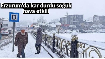 Erzurum'da kar durdu soğuk hava etkili