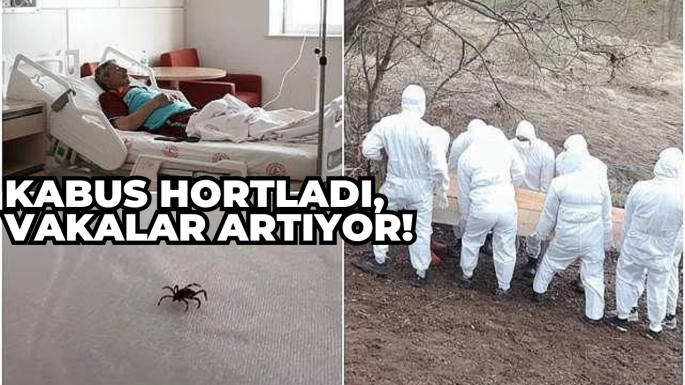 Kabus hortladı, vakalar artıyor!