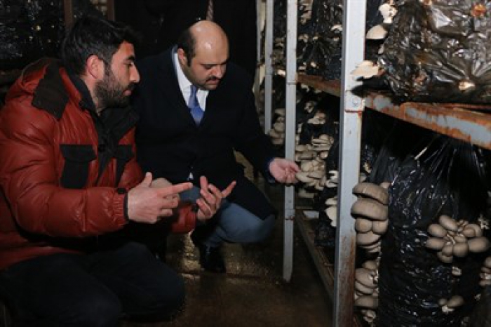 Kültür mantarı üreticilerine Başkan Orhan’dan destek