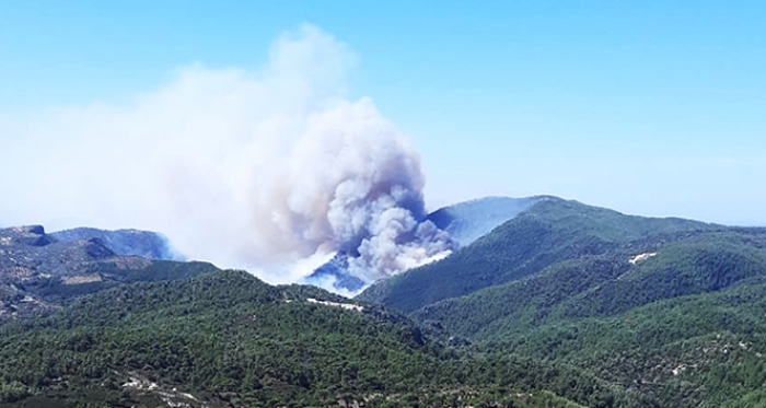 Milas’ta orman yangını