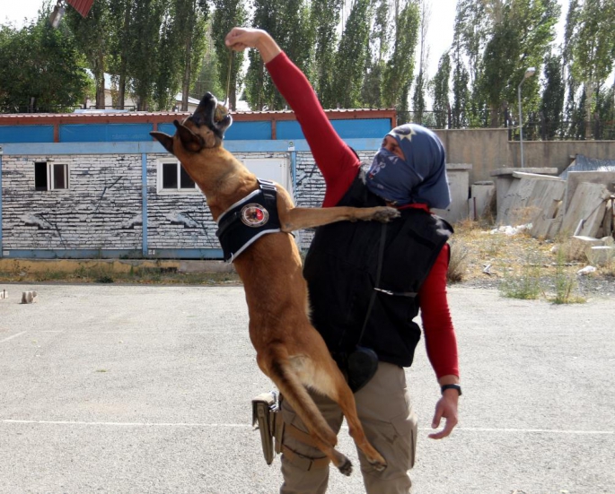 Narkotik köpeği Eris, Erzurum’da uyuşturucuya geçit vermiyor