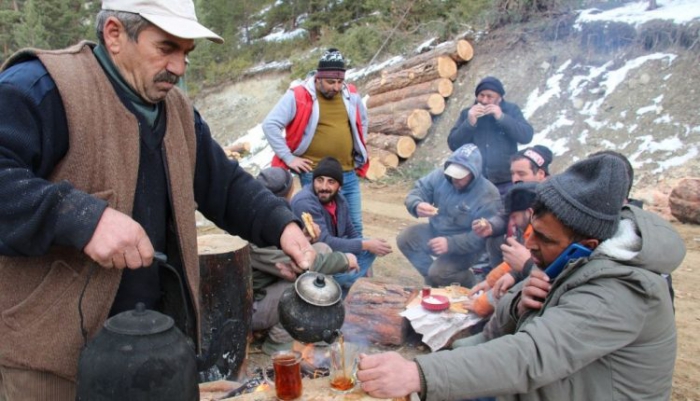 Orman işçilerinin kış mesaisi