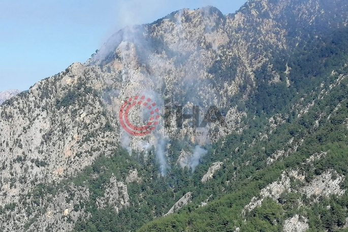 Osmaniye'de orman yangını