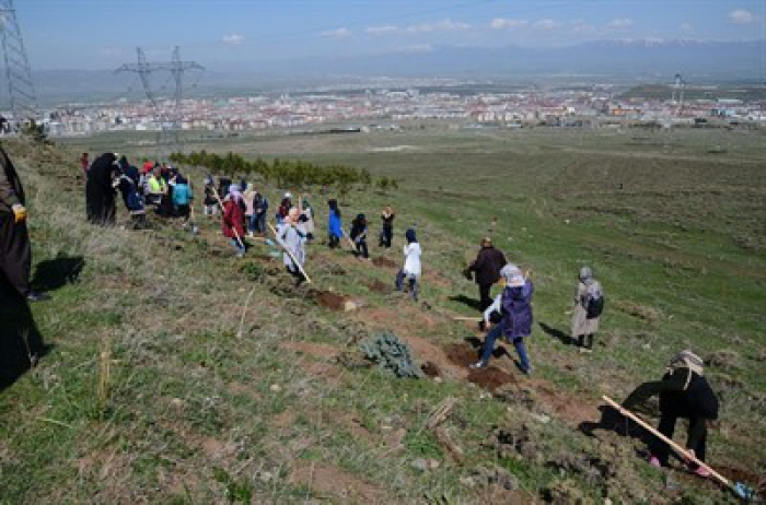 Palandöken Belediyesin'den Fidan Dikimi…